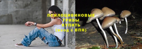 стаф Алексеевка