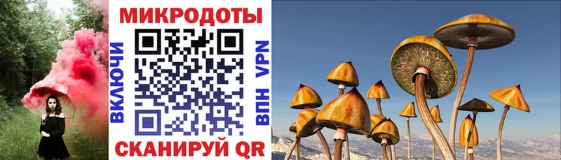 мега ONION  как найти   Петушки  Галлюциногенные грибы мухоморы 